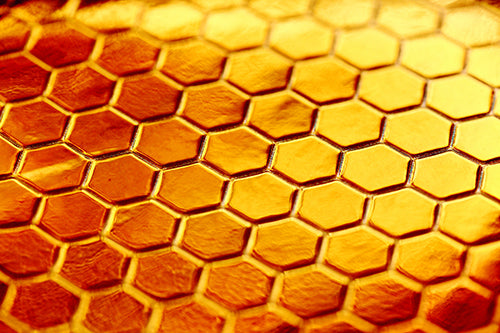 Ranked #1 Best Eczema Honey Cream Ingredients for 2022