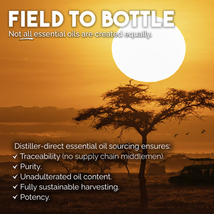 Frankincense & Sweet Myrrh Infused Therapeutic Rubbing Oil