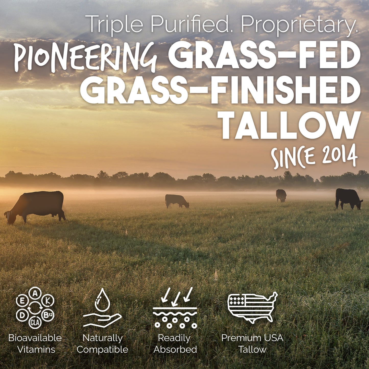 Eucalyptus & Tea Tree Cream