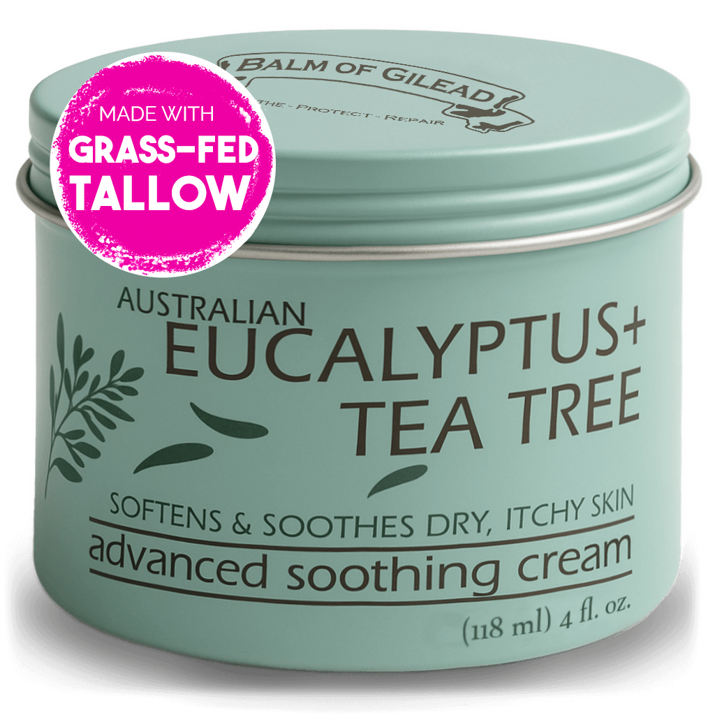 Eucalyptus Tea Tree Tin Front with Sticker