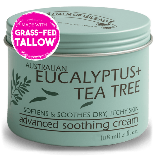 Eucalyptus Tea Tree Tin Front with Sticker